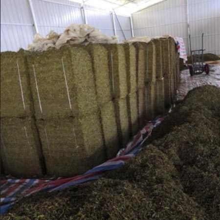 Agricultural Packaging Industry